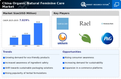 China Organic Natural Feminine Care Market Infographic