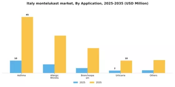 Italy Montelukast API Market Segment Image 0