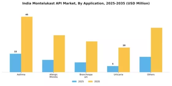 India Montelukast API Market Segment Image 0