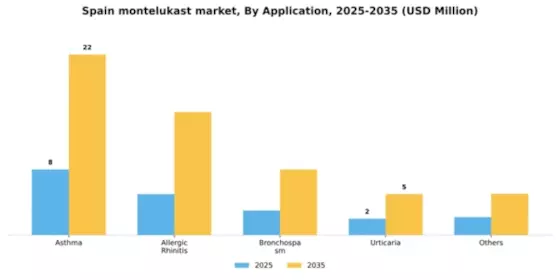 Spain Montelukast API Market Segment Image 0