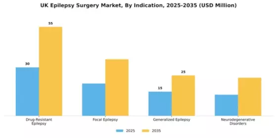 UK Epilepsy Surgery Market Segment Image 1