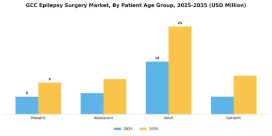 GCC Epilepsy Surgery Market Segment Image 1