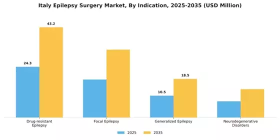 Italy Epilepsy Surgery Market Segment Image 0