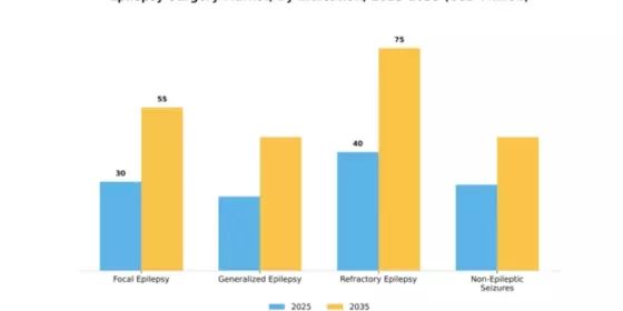 South America Epilepsy Surgery Market Segment Image 1