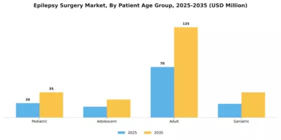 South America Epilepsy Surgery Market Segment Image 2