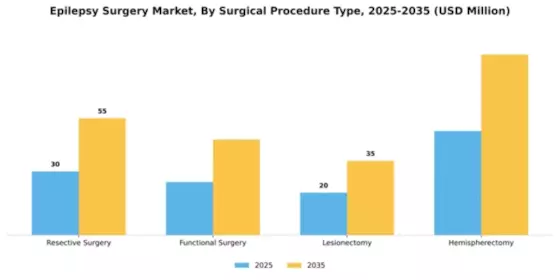 South America Epilepsy Surgery Market Segment Image 3