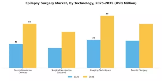 South America Epilepsy Surgery Market Segment Image 4
