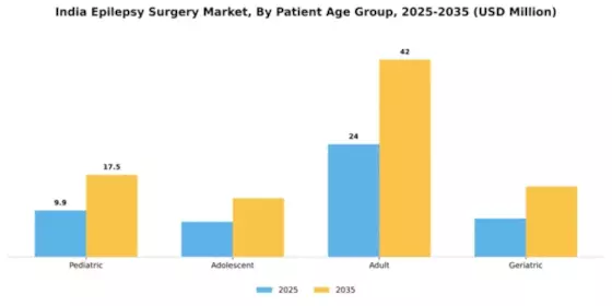 India Epilepsy Surgery Market Segment Image 1