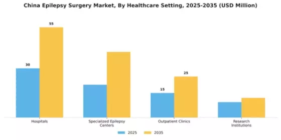 China Epilepsy Surgery Market Segment Image 0