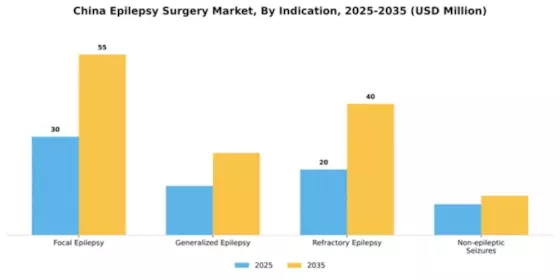 China Epilepsy Surgery Market Segment Image 1