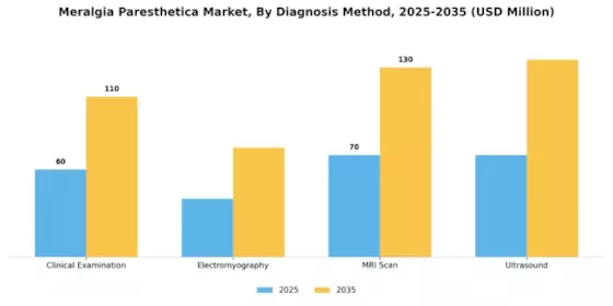 Meralgia Paresthetica Market Segment Image 0