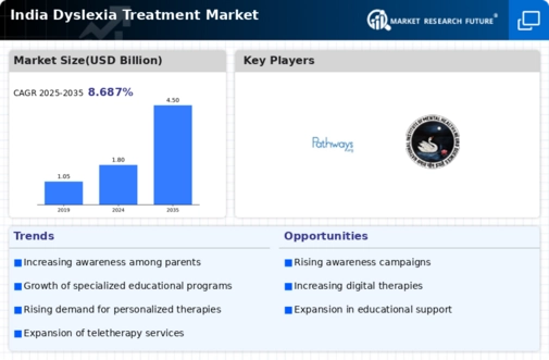 India Dyslexia Treatment Market Infographic