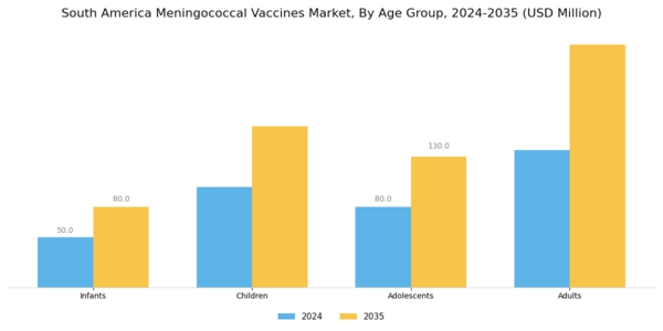 South America Meningococcal Vaccines Market Segment Image 1