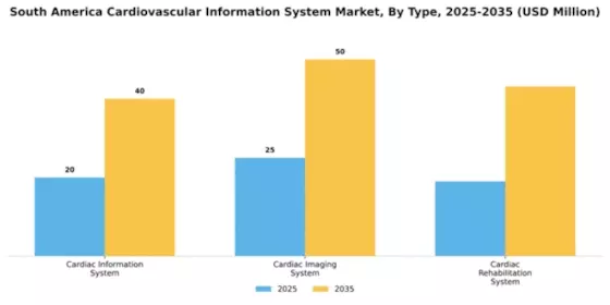 South America Cardiovascular Information System Market Segment Image 4