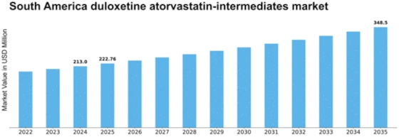 South America Duloxetine Atorvastatin Intermediates Market Size