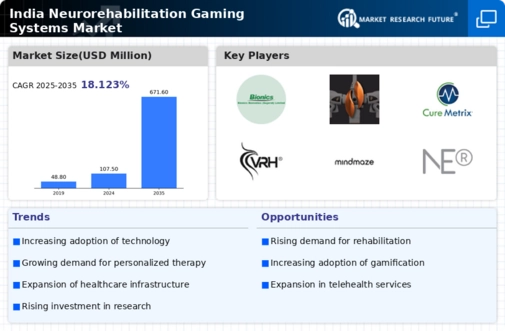 India Neurorehabilitation Gaming Systems Market Infographic