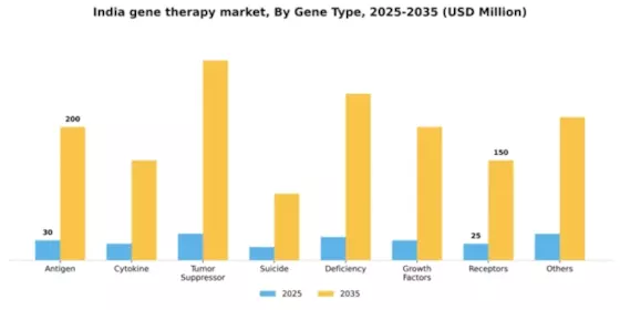 India Gene Therapy Market Segment Image 2