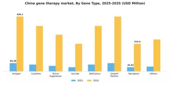 China Gene Therapy Market Segment Image 2
