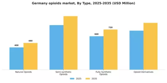 Germany Opioids Market Segment Image 3