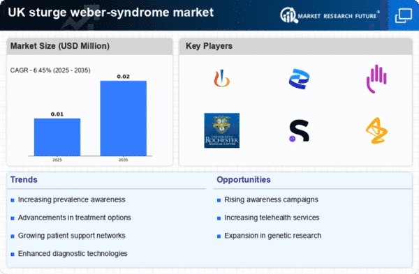 UK Sturge Weber Syndrome Market Infographic