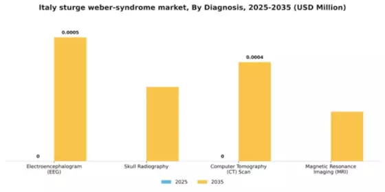 Italy Sturge Weber Syndrome Market Segment Image 0