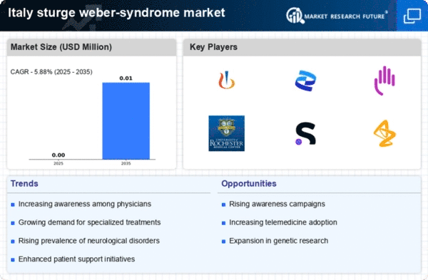 Italy Sturge Weber Syndrome Market Infographic