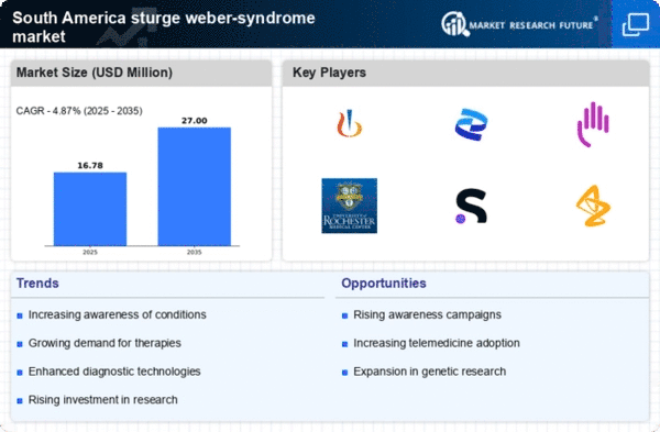 South America Sturge Weber Syndrome Market Infographic