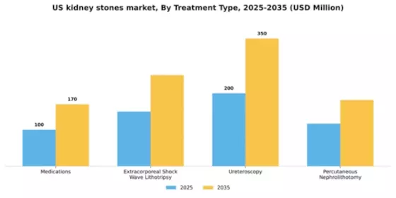 US Kidney Stones Market Segment Image 1