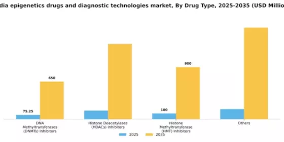 India Epigenetics Drugs Diagnostic Technologies Market Segment Image 2