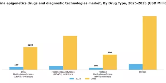 China Epigenetics Drugs Diagnostic Technologies Market Segment Image 2