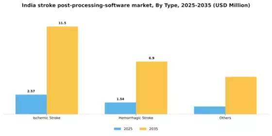 India Stroke Post Processing Software Market Segment Image 3