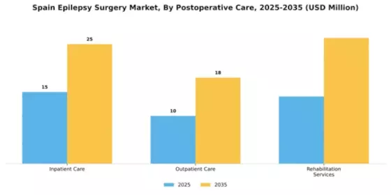 Spain Epilepsy Surgery Market Segment Image 2
