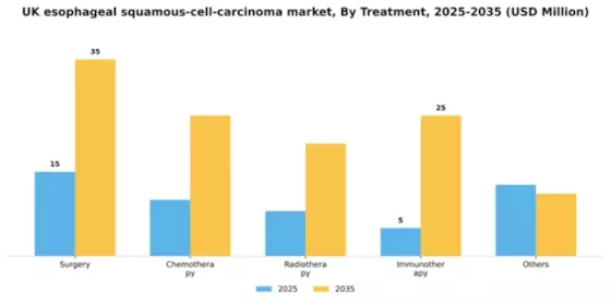 UK Esophageal Squamous Cell Carcinoma Market Segment Image 2
