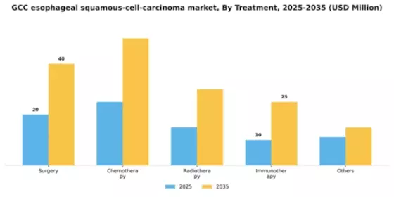 GCC Esophageal Squamous Cell Carcinoma Market Segment Image 2