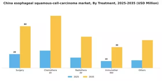 China Esophageal Squamous Cell Carcinoma Market Segment Image 2