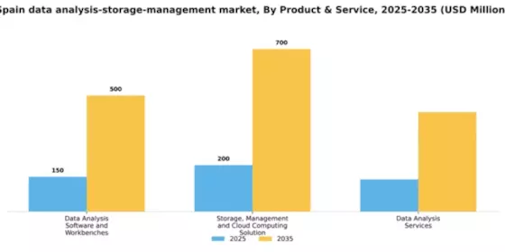 Spain Data Analysis Storage Management Market Segment Image 2