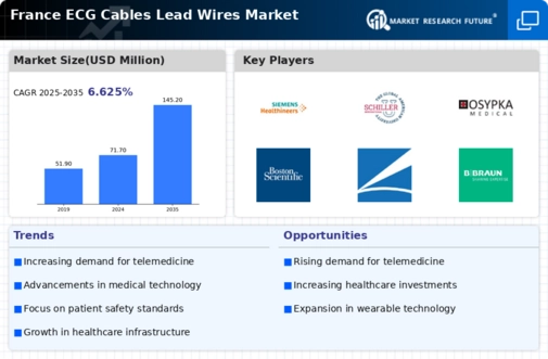France ECG Cables and Lead Wires Market Research Report- Forecast To 2035 Infographic