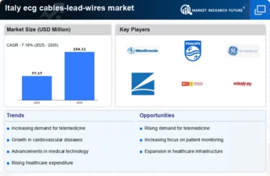 Italy ECG Cables Lead Wires Market Infographic