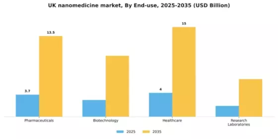 UK Nanomedicine Market Segment Image 1