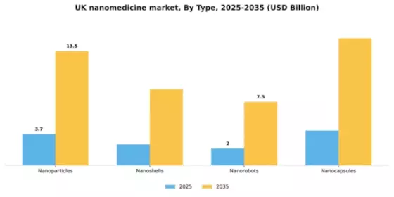 UK Nanomedicine Market Segment Image 3