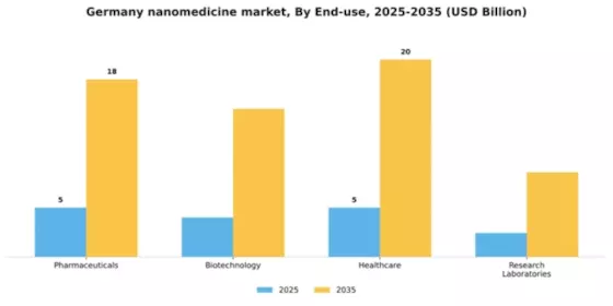 Germany Nanomedicine Market Segment Image 1