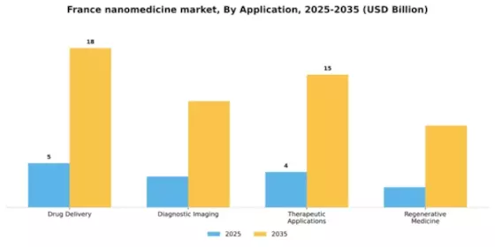 France Nanomedicine Market Segment Image 0