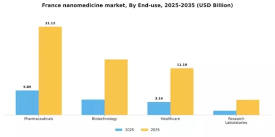 France Nanomedicine Market Segment Image 1
