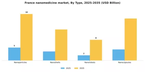 France Nanomedicine Market Segment Image 3