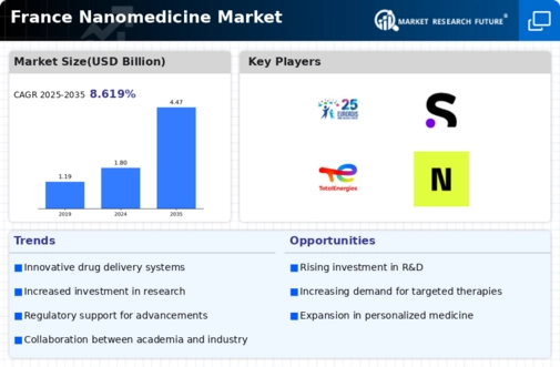 France Nanomedicine Market Infographic