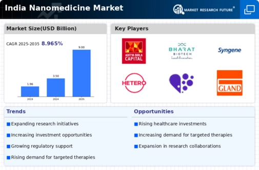 India Nanomedicine Market Infographic
