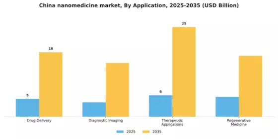 China Nanomedicine Market Segment Image 0