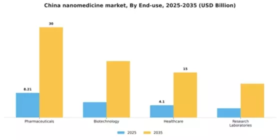 China Nanomedicine Market Segment Image 1
