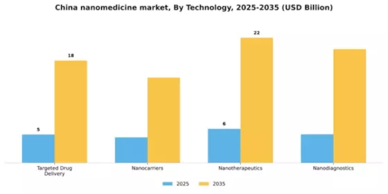 China Nanomedicine Market Segment Image 2