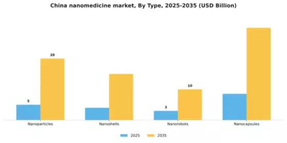 China Nanomedicine Market Segment Image 3
